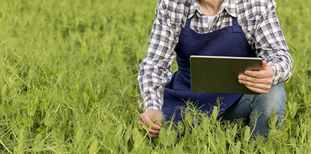 Um das Beste aus blgCloud herauszuholen